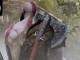 god of war 5 impressionnantes minutes de présentation vidéo dans le cadre de la conférence Sony à E3 2017