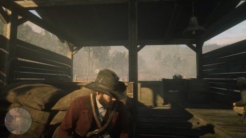 RDR2 Chapitre 6 Mission Une visite de courtoisie
