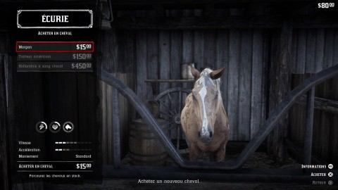 Red Dead Redemption 2 chapitre 2 Mission Une blessure d'amour propre - Acheter nouveau cheval