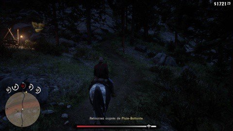 Red Dead Redemption 2 Chapitre 6 Mission Petit guide de l'archéologue en herbe
