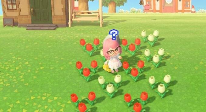 Trouver des roses dans Animal Crossing New Horizons Guide