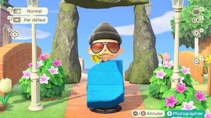 Tablette édifiante Animal Crossing Vrai Ou Faux