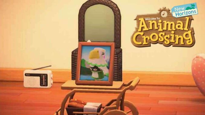 Obtenir Photos encadrées des villageois dans Animal Crossing New Horizons Guide
