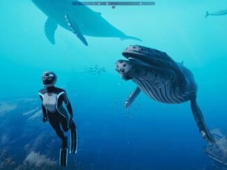Guide de tous les trophées Beyond Blue PS4 PC XBOX ONE